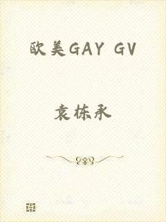 欧美GAY GV